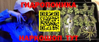 шишки Балашиха