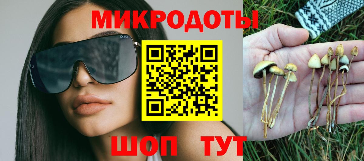 купить наркоту  Вход с VPN  Псилоцибиновые грибы ЛСД  Ейск  Галлюциногенные грибы Magic Shrooms 