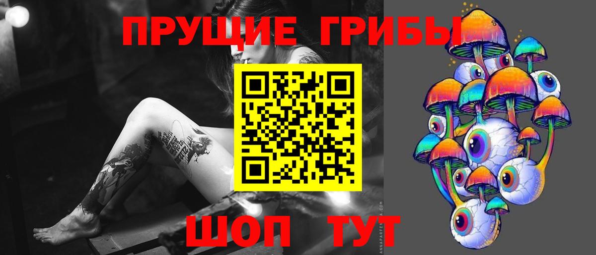 Псилоцибиновые грибы Cubensis Ейск