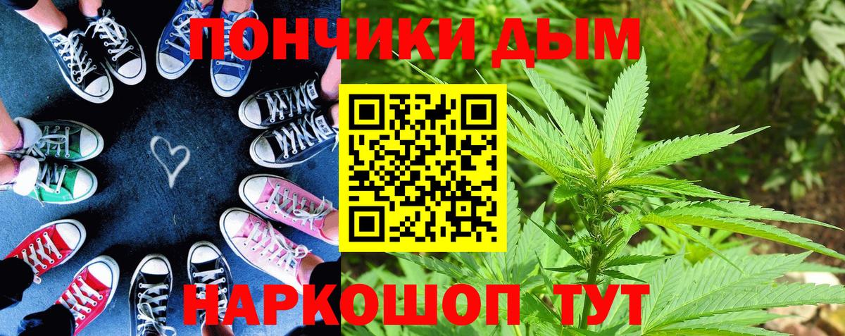 Бошки марихуана гибрид  Вход с VPN  Канабис план  Ейск  Каннабис тримм 